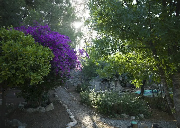 Hotel Koop' / Eski Datça